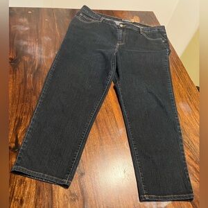 Venezia by Lane Bryant Dark Wash Denim Jeans 5 Average Stretch Classic